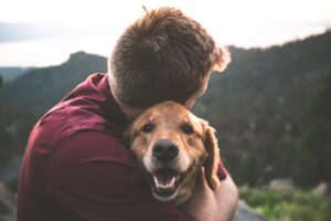 Read more about the article Creating a dog-friendly home: Tips for a safe and happy living environment