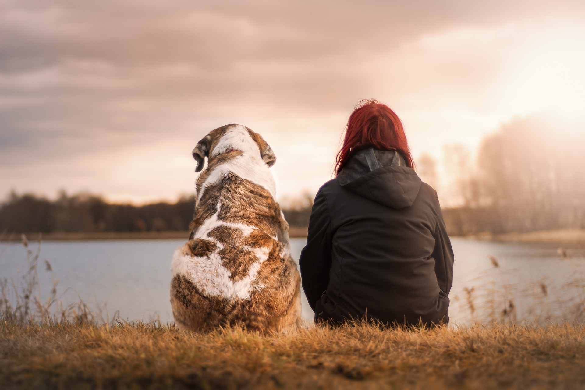 You are currently viewing The wellbeing power of dog companionship